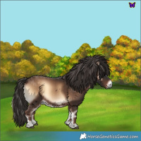 Horse Color:Liver Red Onyx 