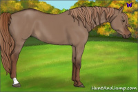 Horse Color:Liver Red Dun 