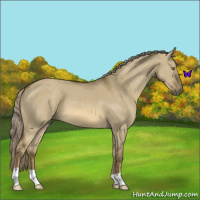 Horse Color:Chocolate Palomino Dun Mushroom 