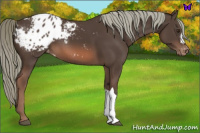 Horse Color:Liver Chestnut Mushroom Blanket 