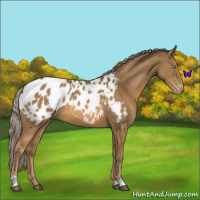 Horse Color:Chocolate Palomino Mushroom Blanket 