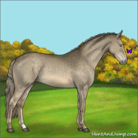 Horse Color:Chocolate Palomino Dun Mushroom Rabicano 