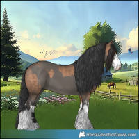 Horse Color:Brown Dun Tobiano  and White Spotted Grullo 