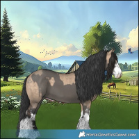 Horse Color:Brown Dun Tobiano  and White Spotted Grullo 