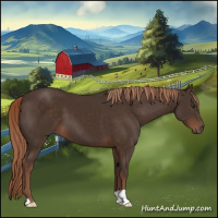 Horse Color:Liver Chestnut 