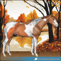 Horse Color:Chestnut Tobiano