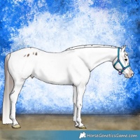 Horse Color:White Spotted Brown Splash Tobiano Varnish 