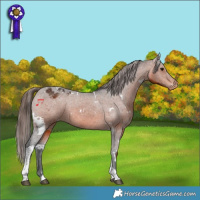 Horse Color:White Spotted Brown Tobiano Varnish Rabicano 