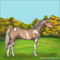 Horse Color:White Spotted Silver Brown Dun Tobiano Varnish Rabicano 