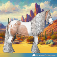 Horse Color:Silver Bay Sabino Tobiano Appaloosa Rabicano 