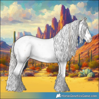 Horse Color:Silver Bay Sabino Rabicano 