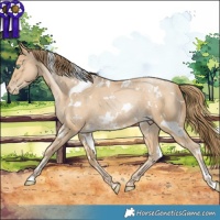Horse Color:White Spotted Smoky Black Pearl 