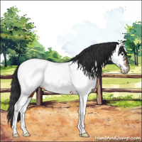 Horse Color:Brown Tobiano Near Fewspot 