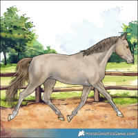 Horse Color:Classic Cream Champagne Varnish Rabicano 
