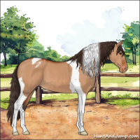 Horse Color:Bay Dun Tobiano Varnish