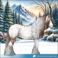 Horse Color:Gray White Spotted Chestnut Pearl Tobiano Appaloosa 