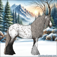 Horse Color:Gray Silver Brown Roan Appaloosa 