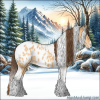 Horse Color:Buckskin Dun Tobiano Appaloosa 