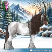 Horse Color:Liver Red Roan Tobiano 