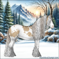 Horse Color:White Spotted Silver Buckskin Dun Splash 