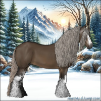 Horse Color:Gray White Spotted Silver Brown Dun 