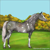 Horse Color:Platinum White Spotted Chocolate Palomino 