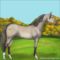 Horse Color:Liver Red Dun Mushroom 