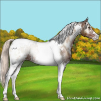 Horse Color:White Spotted Liver Red Onyx Mushroom Tobiano Brindle 