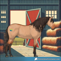 Horse Color:Bay Dun 