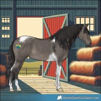 Horse Color:Smoky Grullo Tobiano 
