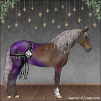 Horse Color:Silver Brown 