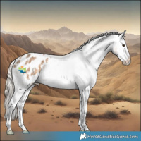 Horse Color:Chocolate Palomino Sabino Splash Appaloosa 