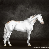 Horse Color:White Spotted Silver Bay Dun Splash Frame 