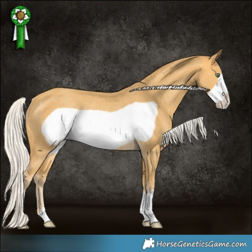 Horse Color:Silver Sable Cream Champagne Frame Rabicano