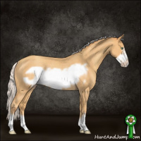 Horse Color:Silver Sable Cream Champagne Frame Rabicano