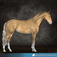 Horse Color:Silver Classic Cream Champagne 