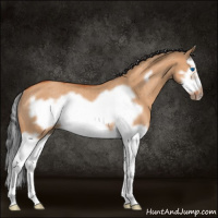 Horse Color:Bay Roan Dun Splash Frame Rabicano 