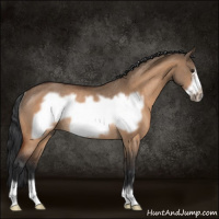 Horse Color:Brown Dun Frame Rabicano