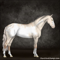 Horse Color:Silver Classic Champagne Dun Frame Appaloosa Rabicano 