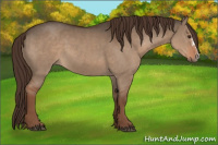 Horse Color:Liver Red Dun 