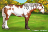 Horse Color:Silver Bay Frame 