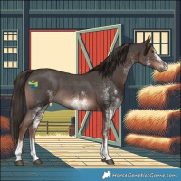 Horse Color:White Spotted Liver Chestnut 