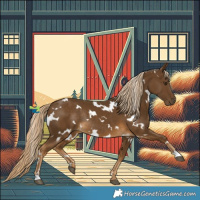 Horse Color:White Spotted Chocolate Palomino Rabicano 