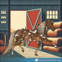 Horse Color:White Spotted Chocolate Palomino Rabicano 