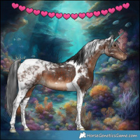 Horse Color:Brown Tobiano 