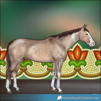 Horse Color:White Spotted Chocolate Brown Dun Splash 