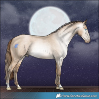 Horse Color:Gray Buckskin Roan Pearl 
