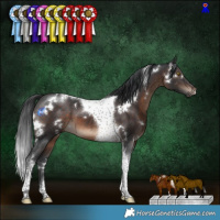 Horse Color:White Spotted Brown Tobiano 