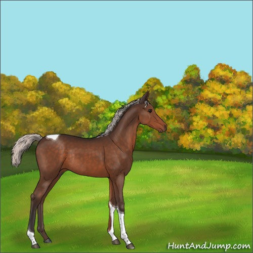Horse Color:Silver Brown Tobiano Rabicano 