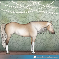 Horse Color:Gray Silver Bay Dun Tobiano 